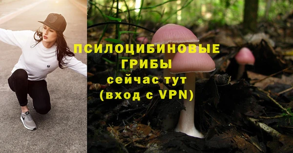 эйфоретик Горно-Алтайск