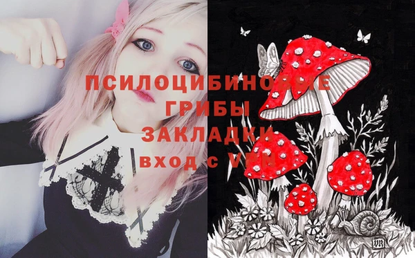 эйфоретик Горно-Алтайск